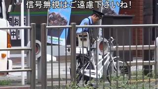 自転車のお巡りさんが信号無視した2台の違反車を追跡して検挙した瞬間!