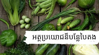 ប្រយោជន៏បន្លែបៃតង | VLOG#44