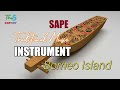 SAPE INSTRUMEN | DAYAK ETNIC TRADITIONAL MUSIC INSTRUMENTS | MUSIC FOR REST | BORNEO ISLAND