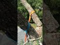 Pruning Tree Limbs Over a House with Ziplines