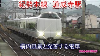 紀勢本線 道成寺駅の構内風景と通過する電車（287系特急くろしお・223系普通電車）2016.11.19撮影