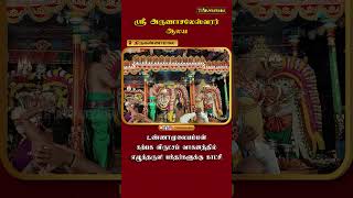 திருவண்ணாமலை ஸ்ரீ அருணாசலேஸ்வரர் ஆலய உண்ணாமுலையம்மன் கற்பக விருட்சம் வாகனத்தில் எழுந்தருளி காட்சி