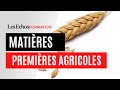 Marché des matières premières agricoles - Les Echos Formation