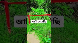 এটা অসাধারণ #for #shortvideo #comedy #funny