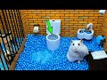 🐹 Hamster Escapes From the Prison Maze - Hamster Maze Adventures for in real life 🐹