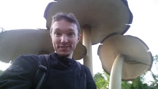 World's Largest Mushroom in Vilna Alberta