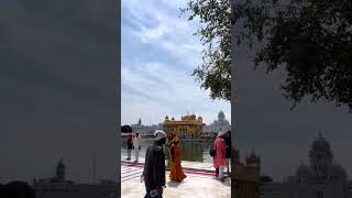 golden temple #india #punjab #youtubeshorts #punjabi #2023