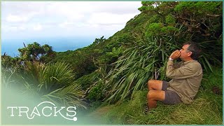 Exploring Lord Howe Island: What Lies Between Australia And New Zealand | TRACKS