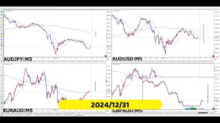 【RCCで振り返る】2024年12月31日対オージーの4通貨ペア