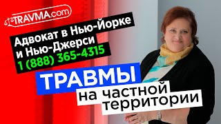 Вопросы адвокату 13 - \