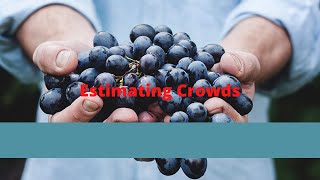 Estimating Crowd