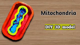 How to make Mitochondria 3D model | Science Project using foam | DIY project | Making school project