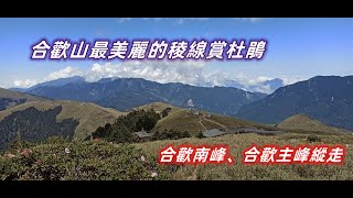 合歡山最美麗的稜線賞杜鵑∥合歡南峰、合歡主峰縱走