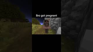 Minecraft Meme