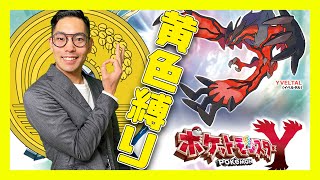 【ポケットモンスターY】『黄色いポケモン縛り』で懐かしいポケモンとすれ違いたい！【その8】