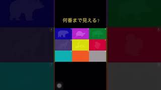 色覚テスト　　　　　　　　　　　正解はコメントに書いてあるよ　　何番目まで分かったかコメントで教えてね❗️