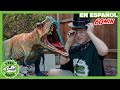 Magia con dinosaurios 🦕🦖🪄 | Videos de dinosaurios y juguetes para niños