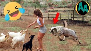 🤭 Epic Fails \u0026 Funny Videos You Can’t Miss!