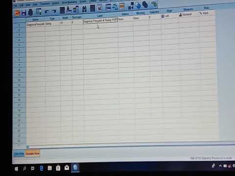 Ibm Spss Statistics 21 Tutorial Boldstart