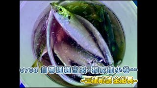 20200708 白帶通通出來~獨家捕小卷^^  ~玉龍貳號 金船長~