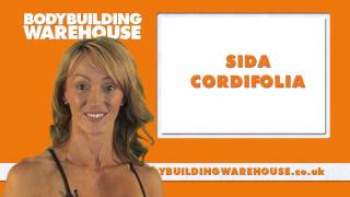 Bodybuilding Warehouse - Sida Cordifolia