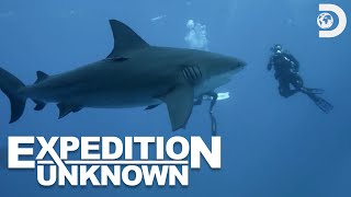 Josh Gates' Dangerous Dive with Sharks on Hunt for WWII Wreckage | Expedition Unknown | Discovery