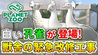 【Planet Zoo】動物園の最古参！白いクジャクの為に新しい獣舎を作ろう【プラネットズー】#75