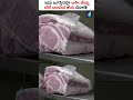 most expensive cow in the world ವಿಶ್ವದ ಅತ್ಯಂತ ದುಬಾರಿ ಹಸು shorts cow beef wagyucow