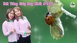 Hát Tiếng Giáy Hay Nhất #202 sing giay best | Thanh Quang TV Official