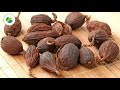 इलायची की टॉप उन्नत किस्में एवं उनकी विशेषताएं top varieties of cardamom elaichi krishinetwork