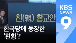 [뉴스줌인] 한국당 ‘친황파(親황교안)’ 등장?…김진태 “검증해야” / KBS뉴스(News)