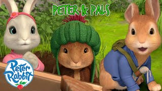 @OfficialPeterRabbit - 🐰💼 Peter Leads The Way! 🐰💼 | +20 Mins | Cartoons for Kids