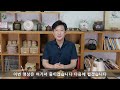 제대로 확실히 알아보는 자사니료3종정리 2편 지유명차 강릉점