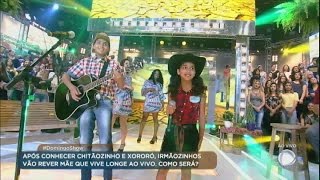 Canarinhos do Sertão cantam clássicos do sertanejo