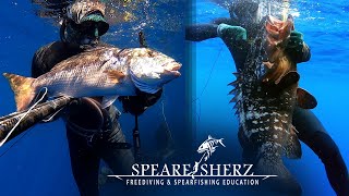 14k Grouper \u0026 5k Dentex - Get Close \u0026 Be Patient - Spearfishing Tips \u0026 Lessons | SPEARFISHERZ