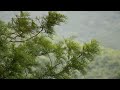 Kuttikkaanam hills | Cinemautoman capture | Beauty of Idukki