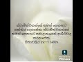 ✝️🙏 උදෑසන යාච්ඤාව🙏✝️ සවන් දෙන්නා වූ ඔබ සියලු දෙනාට දේව ආශිර්වාදය නිරතුරුව ලැබෙන සේක්වා 🙏🙏