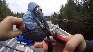 BEAVER LAKE MONSTER RAINBOWS  - CAPTAIN PAUL LEWIS FAST ACTION FISHING ADVENTURES