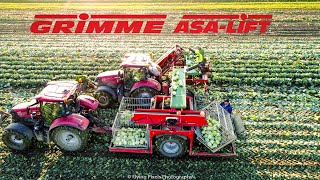 Witte kool oogsten | Harvesting white cabbage | Weißkohl ernte | Grimme | Asa-Lift | Oogst 2020