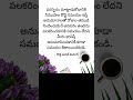 కొత్త మాట కొత్త_అనిల్_కుమార్ కొత్త_మాట telugu motivation quotes తెలుగుకోట్స్ kothaanilkumar