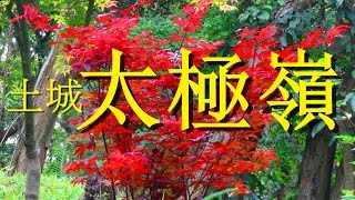 享受健康生活●上土城太極嶺★觀賞火紅楓葉■吸新鮮空氣◆全家踏青好去處[HD]