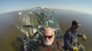 airboating out of sink creek Jena fl