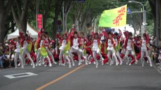 朝霞なるこ遊和会＠2017　彩夏祭