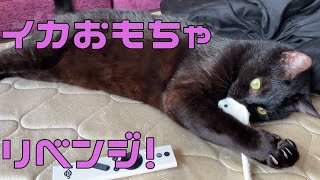 黒猫に壊されたイカおもちゃをリメイクしてみた！