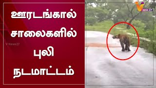 ஊரடங்கால் சாலைகளில் புலி நடமாட்டம் | LockDown | Tiger | MudumalaiTigerReserve