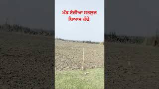 ਮੰਡ ਏਰੀਆ ਸਤਲੁਜ ਬਿਆਸ ਕੰਢੇ #viral #trending #shortvideo #tractor