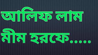 আলিফ লাম মিম হরফে | Alif Lam Mim Horofe | লাল মিয়ার গান | Lal Miya's Songs|বাউল গান|পুরোনো দিনের গান