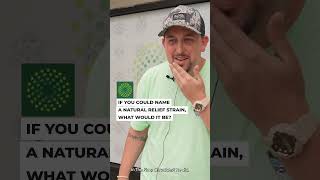 Trulieve Patient Review Interview: Best Flower In Town