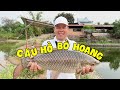 Câu Cá Hồ Bỏ Hoang & Cái Kết | Chung Nguyễn Fishing