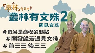 叢林有文殊2 正片｜#遇見文殊 #與般若相應 #用汗水灑淨